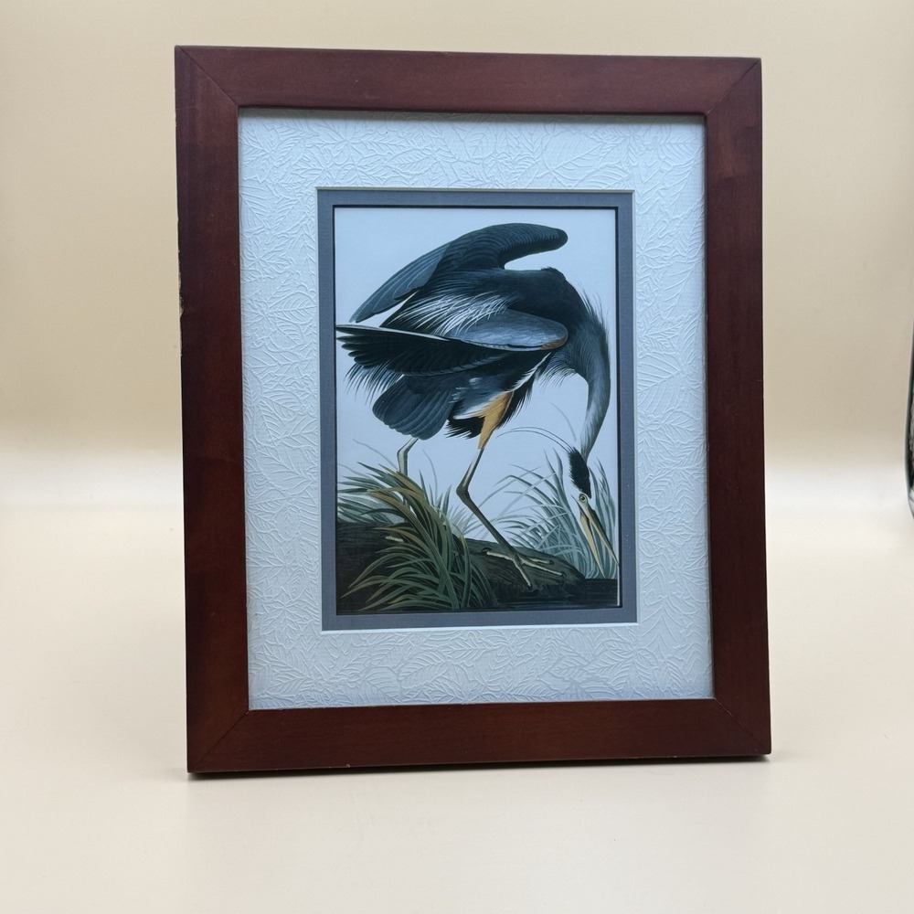 John James Audubon Birds of America Blue Heron‎ Framed Vintage Art Print 10x12